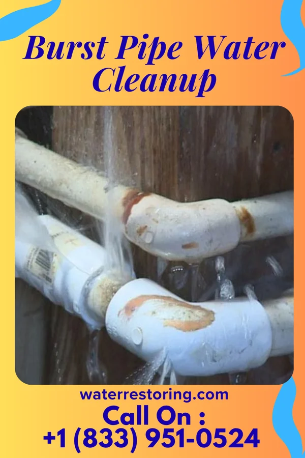 Burst Pipe Water Cleanup in Jackson, WY