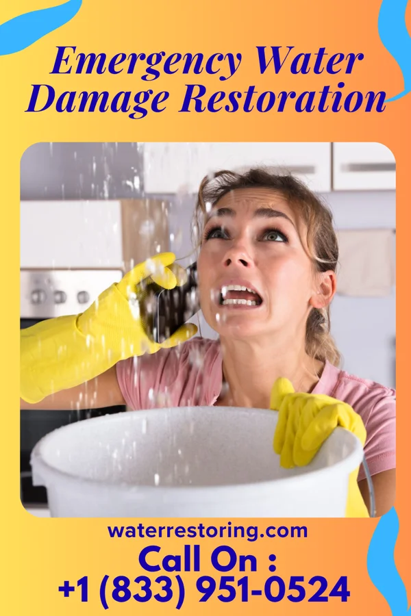 Emergency Water Damage Restoration in Jackson, WY