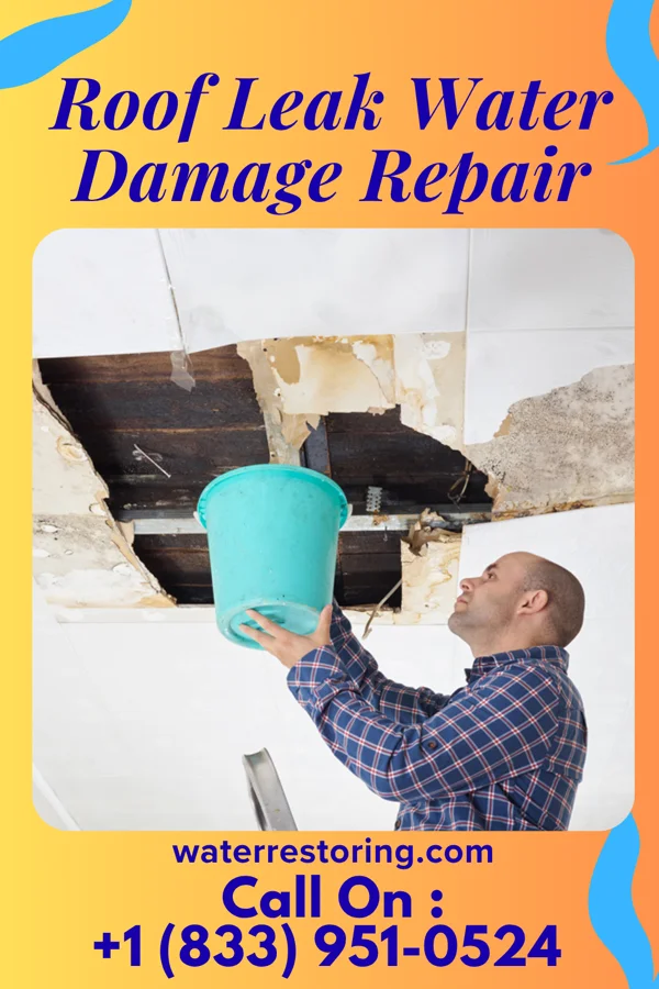 Roof Leak Water Damage Repair in Jackson, WY