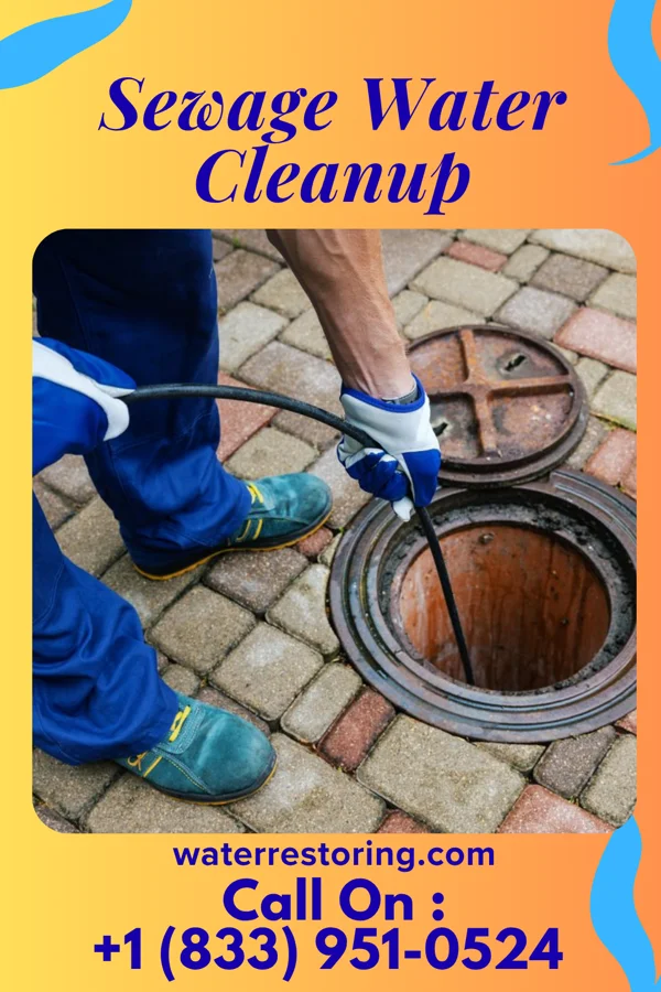 Sewage Water Cleanup in Jackson, WY